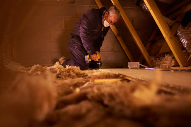 Best Basement Insulation  in Mill City, OR